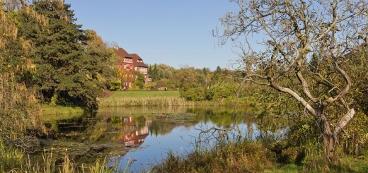 Берлинский ботанический сад