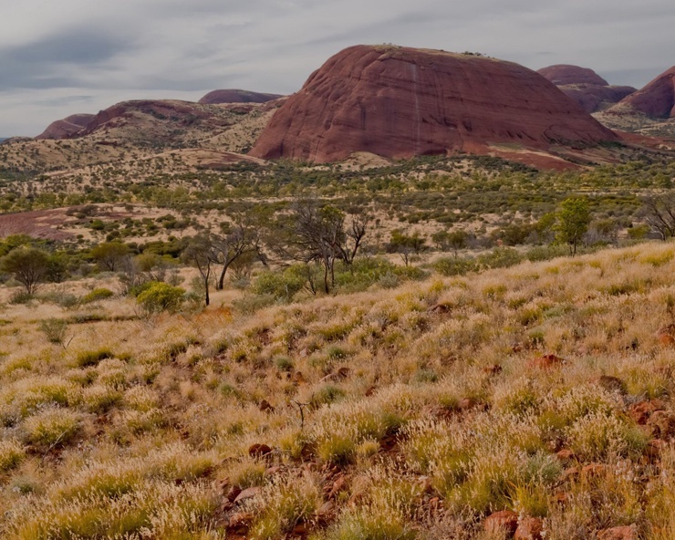 Большая Песчаная пустыня