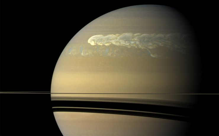 Большое белое пятно