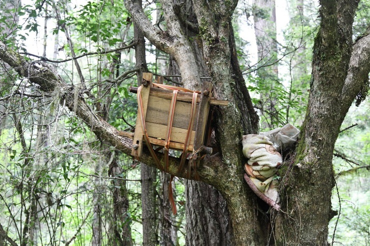 Дерево захоронений