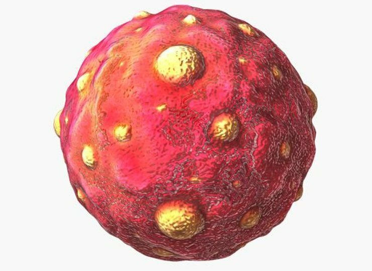 Хантавирус