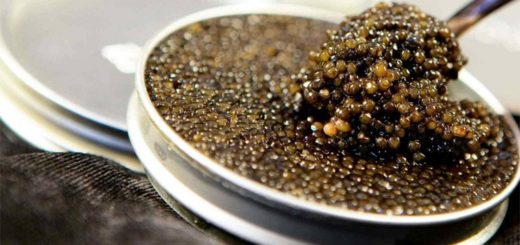 Икра Белуги