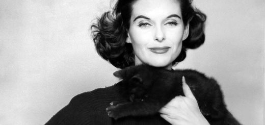 Энн Сен-Мари