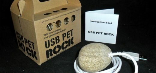 Камень-питомец