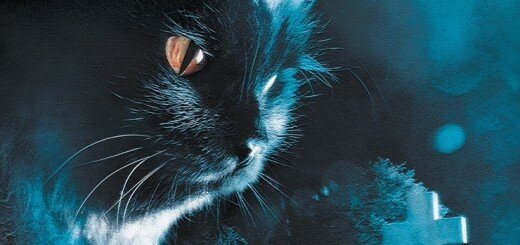 Кладбище домашних животных