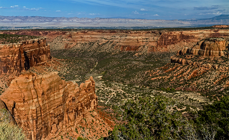Нью-Мексико