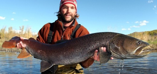 Обыкновенный таймень