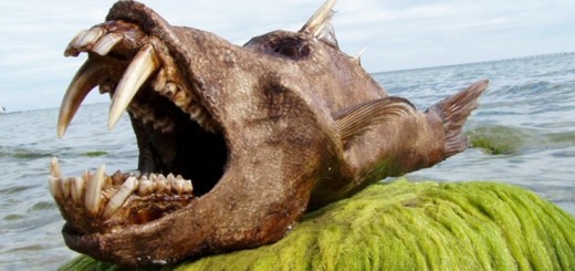 Озеро Стуршен