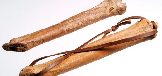 первые коньки