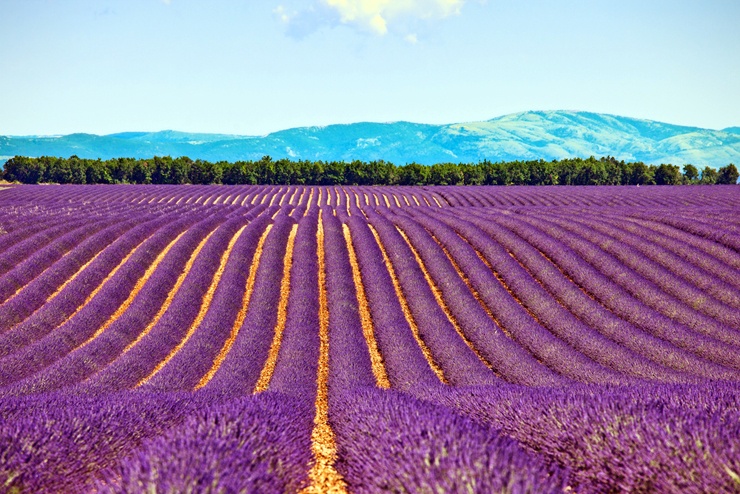 Плато де Валенсоль