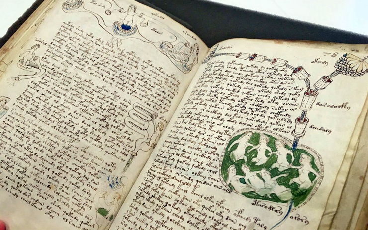 Рукопись Войнича