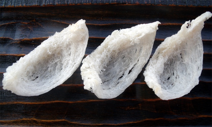 Съедобные птичьи гнёзда