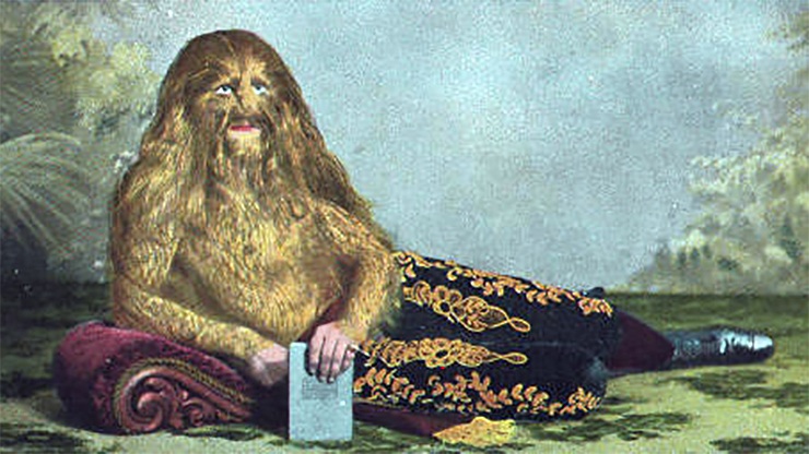 Стефан Бибровский