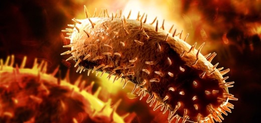 Вирус бешенства