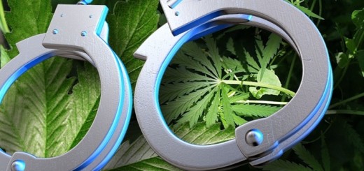 каннабис подталкивает к преступлению