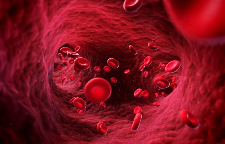 клетки крови