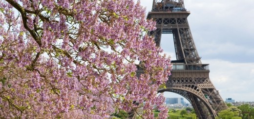 период с марта по июнь в Париже