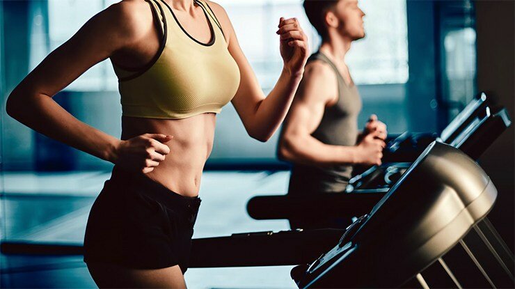 работоспособность организма